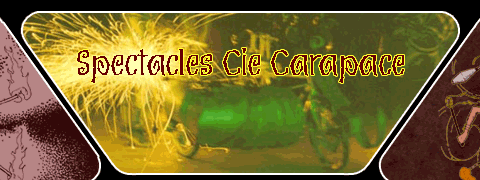 Spectacles Cie Carapace
